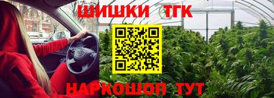 бошки Будённовск
