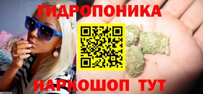 бошки Будённовск