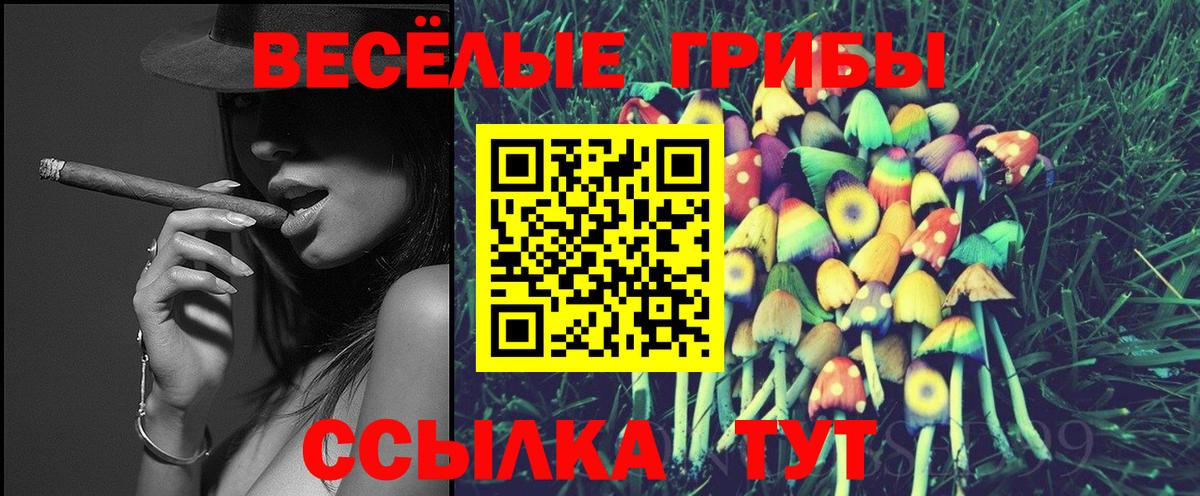 Галлюциногенные грибы GOLDEN TEACHER Похвистнево
